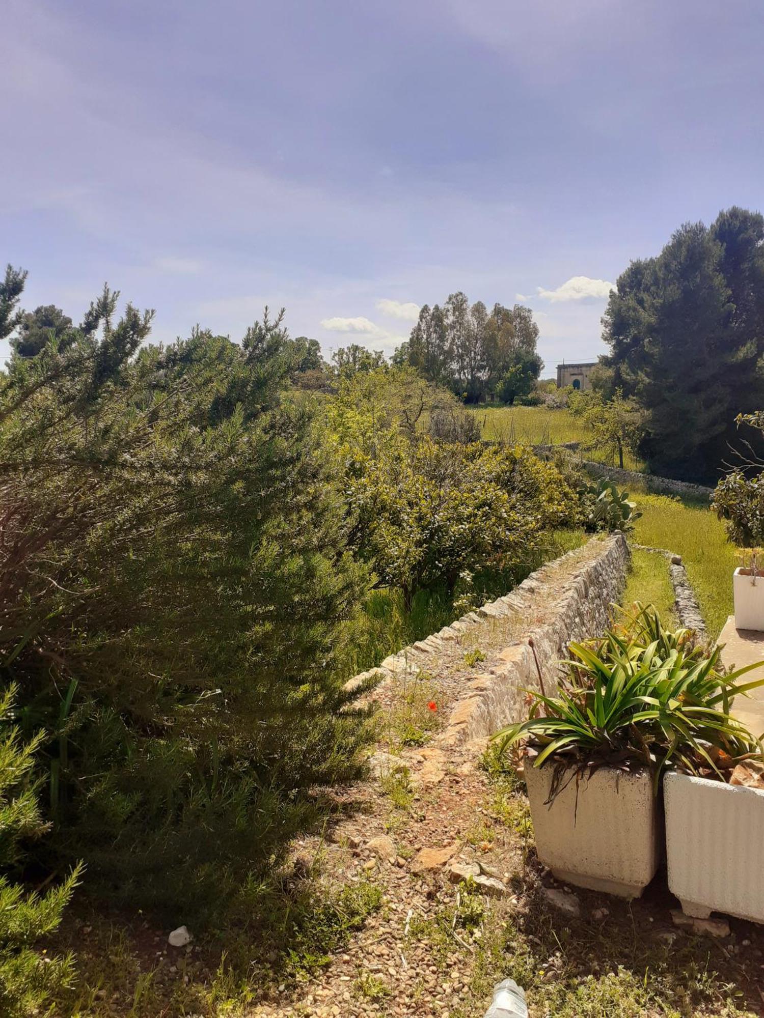 Torre Marinella Guest House Ostuni Exterior photo