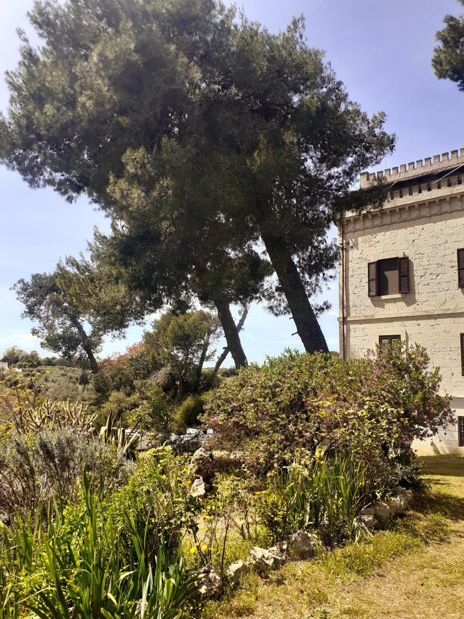 Torre Marinella Guest House Ostuni Exterior photo